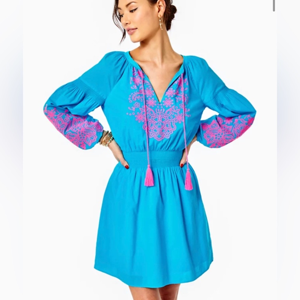 The Analynn Tunic Dress. NWT